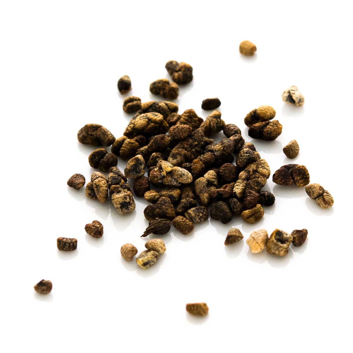 41Cardamom-Saat-Schnorr Kardamomsaat