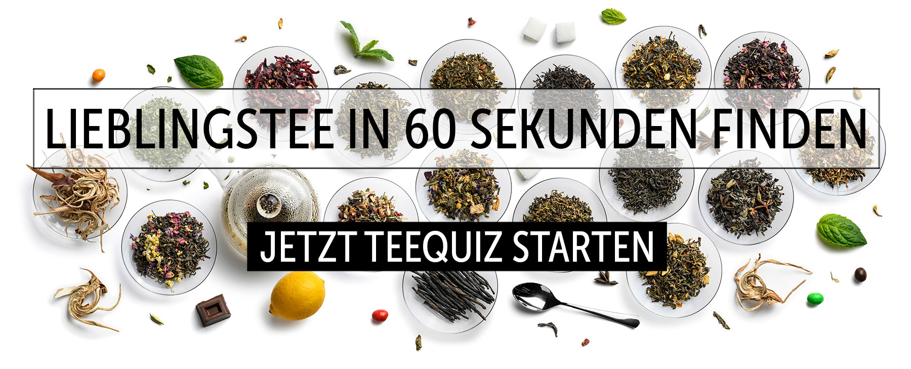 Teequiz-Banner-m-teequiz-starten