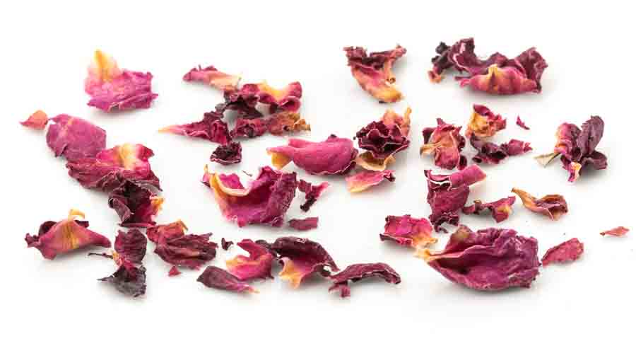 Rosenblütenblätter
