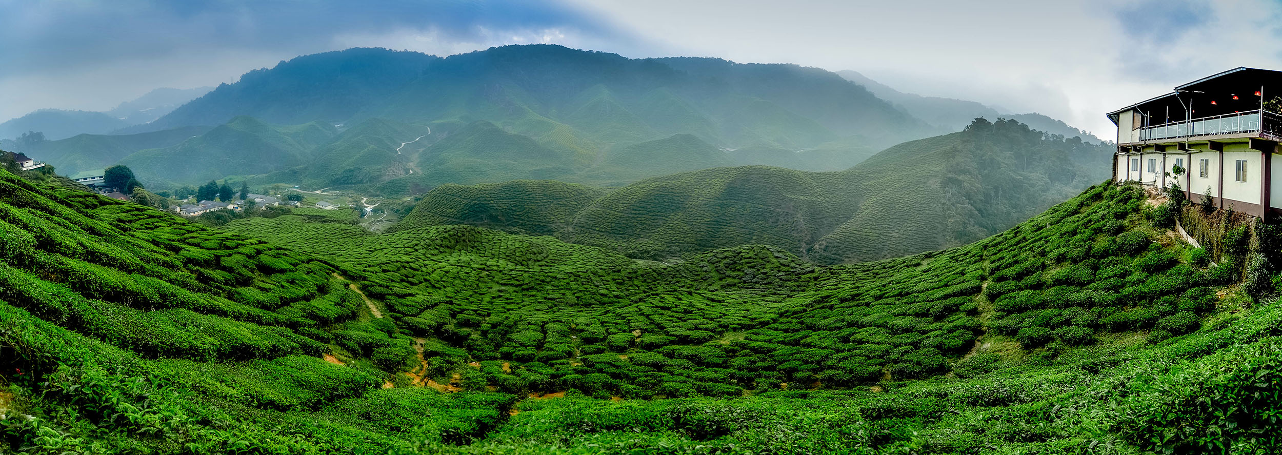 darjeeling