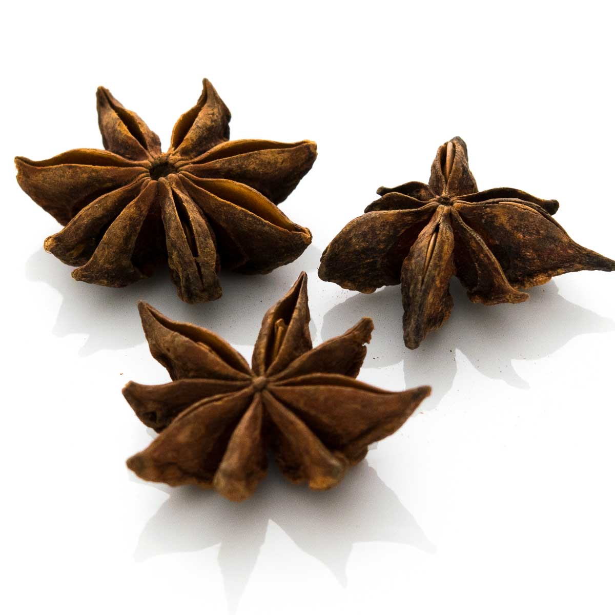 Sternanis