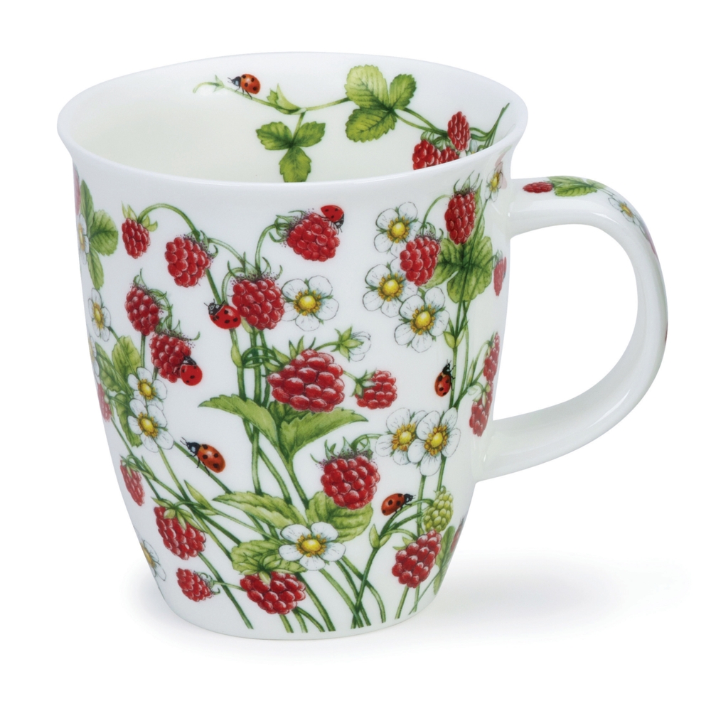 NEVIS WILD FRUITS RASPBERRY 0,48 l