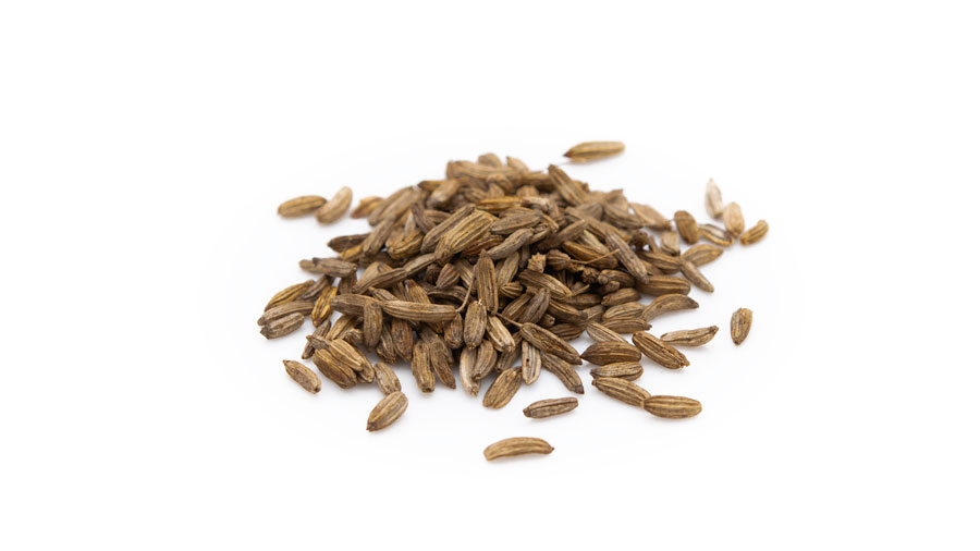 Bitterfenchel Kammware Kräutertee