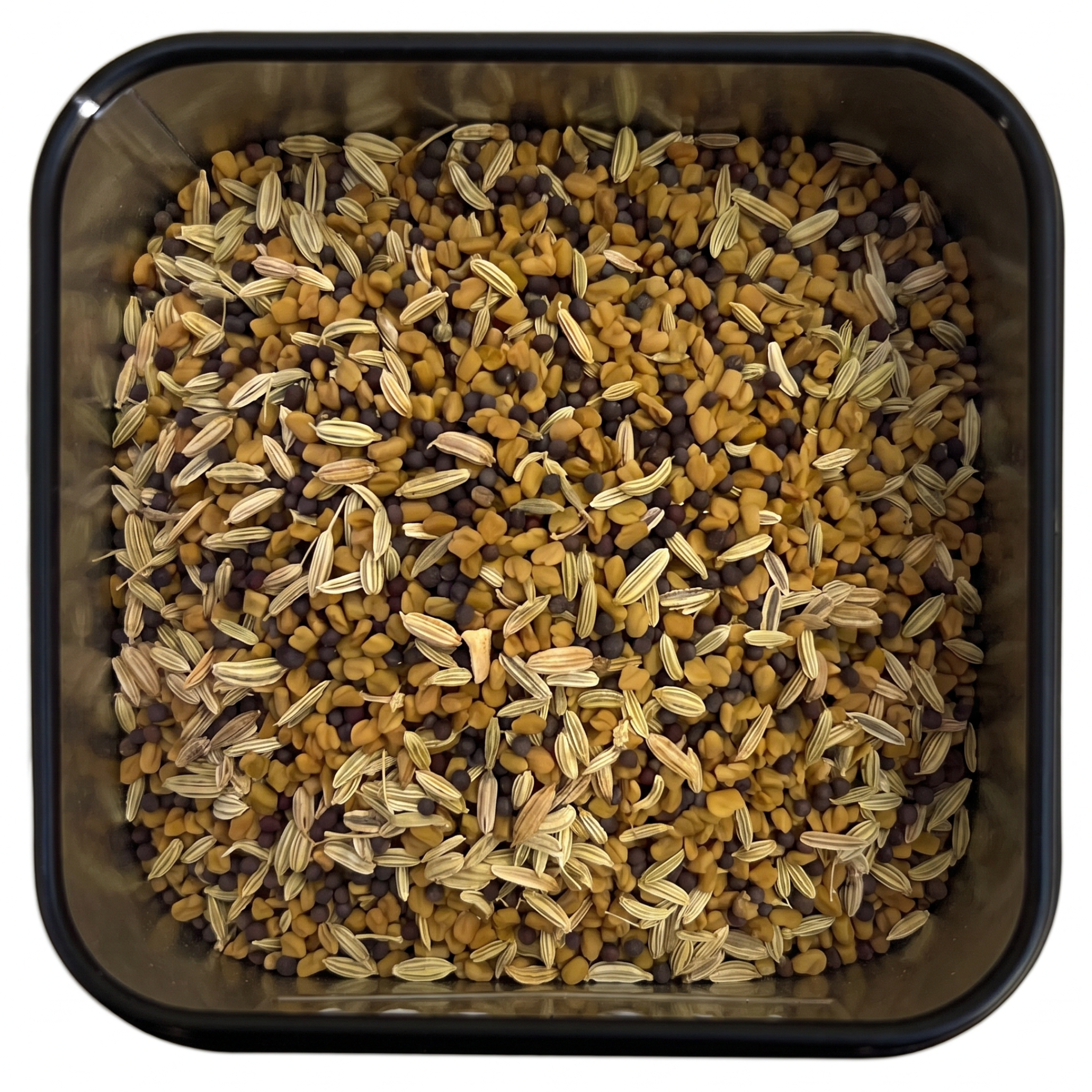 Rajithas Currygewürze, ganze Fenchel- und Bockshornkleesamen mit Senfkörnern, in schwarzer Dos.