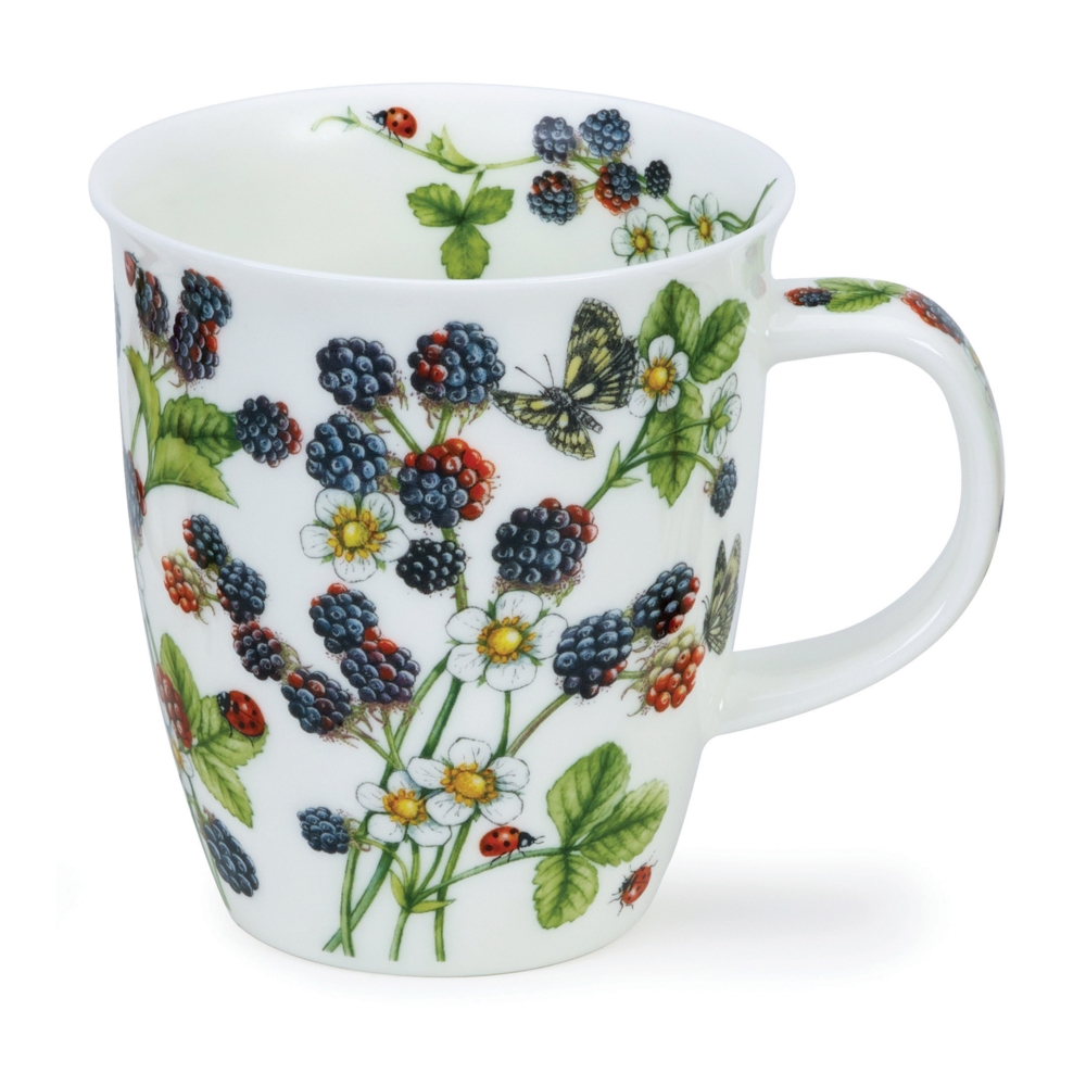 NEVIS WILD FRUITS BLACKBERRY 0,48 l