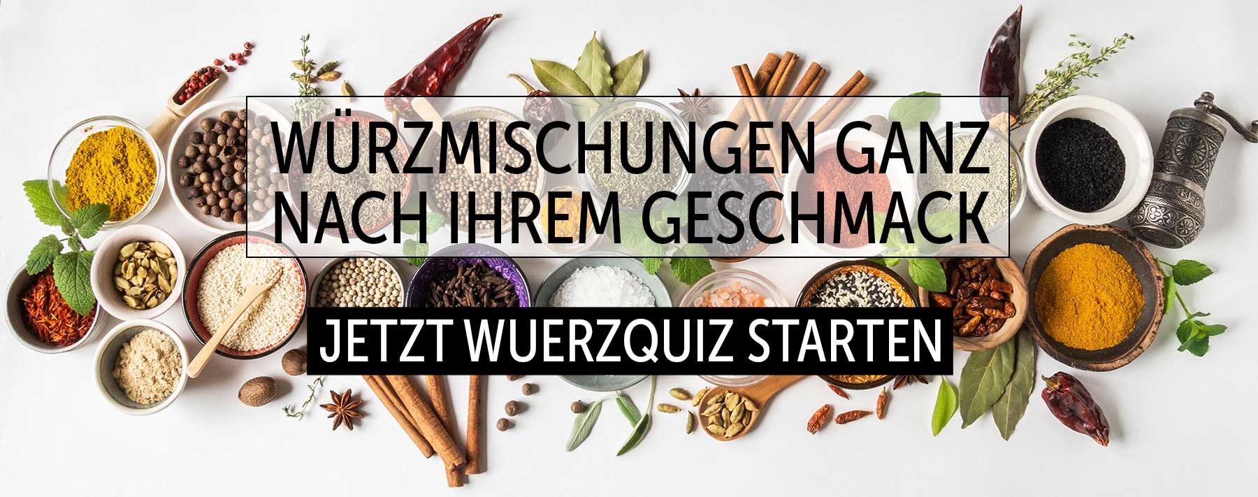 Gewu-rzquiz-Banner-m3