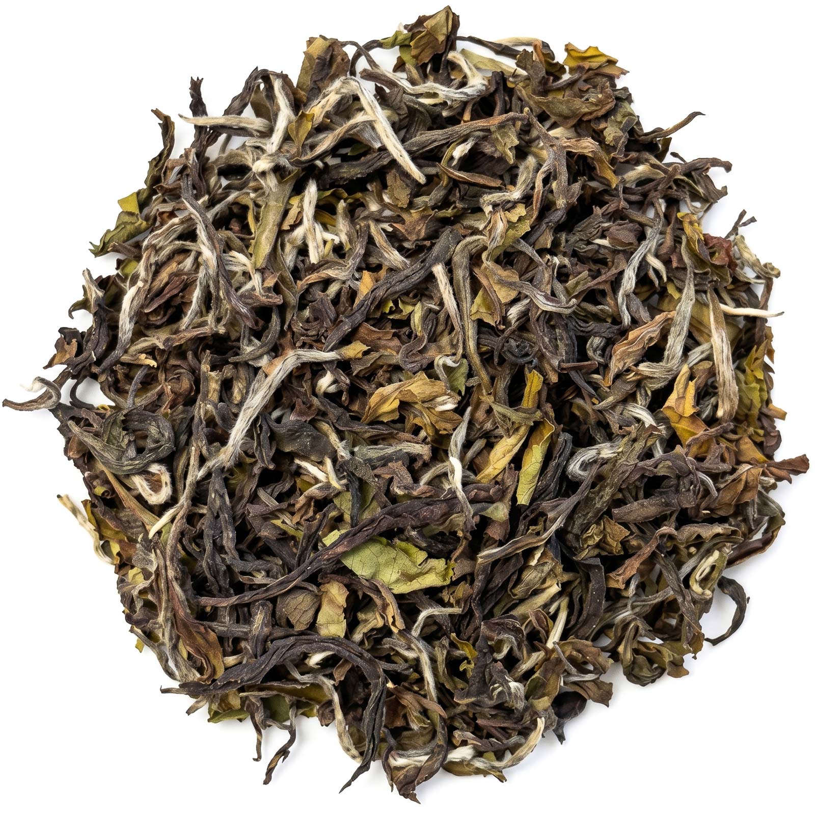 Arya Spezial First Flush Darjeeling