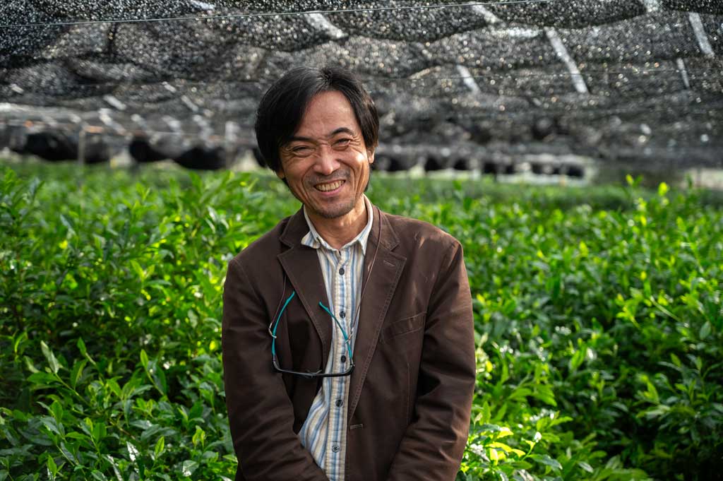 Bio Hanomi Matcha von Nakanishi San