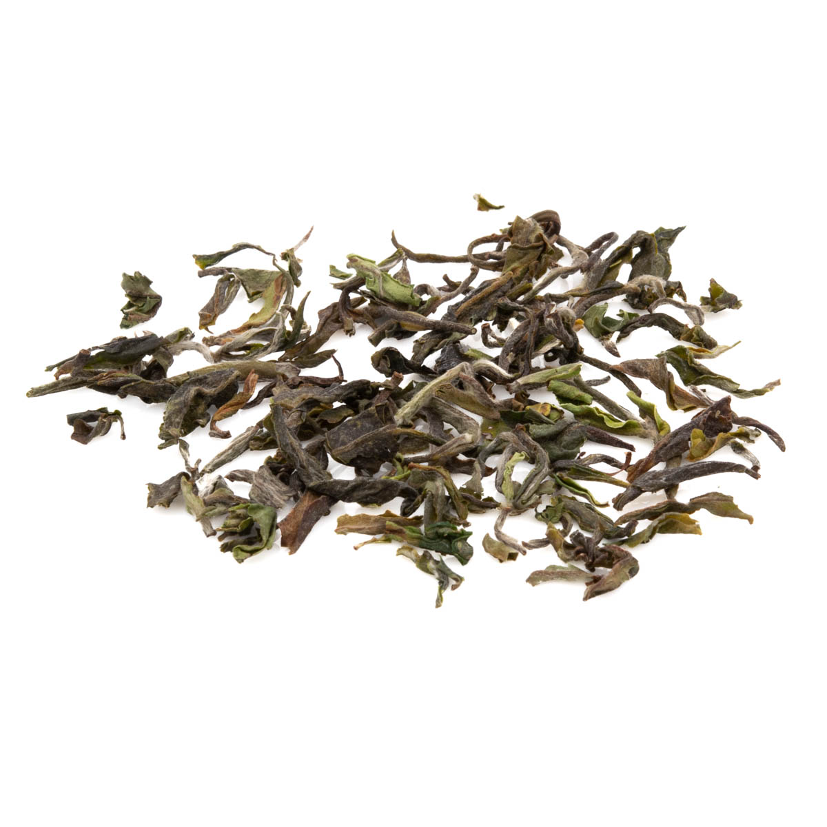 2025 Jungpana Spezial Flugtee FTGFOP1 Darjeeling