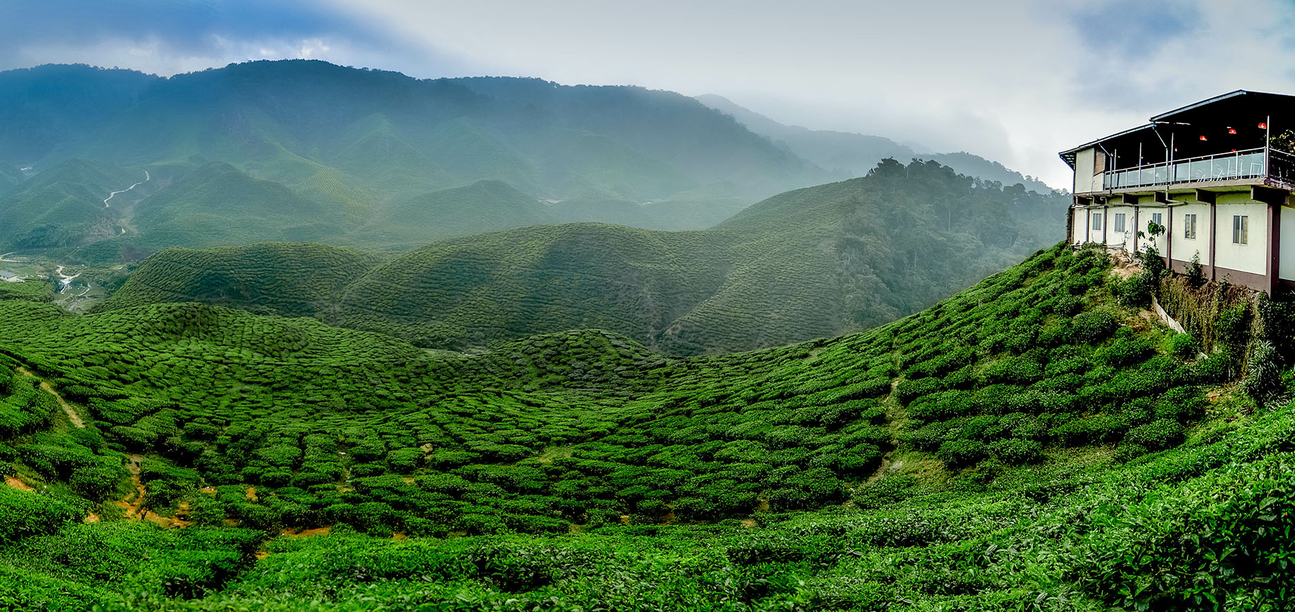 darjeeling_mobile