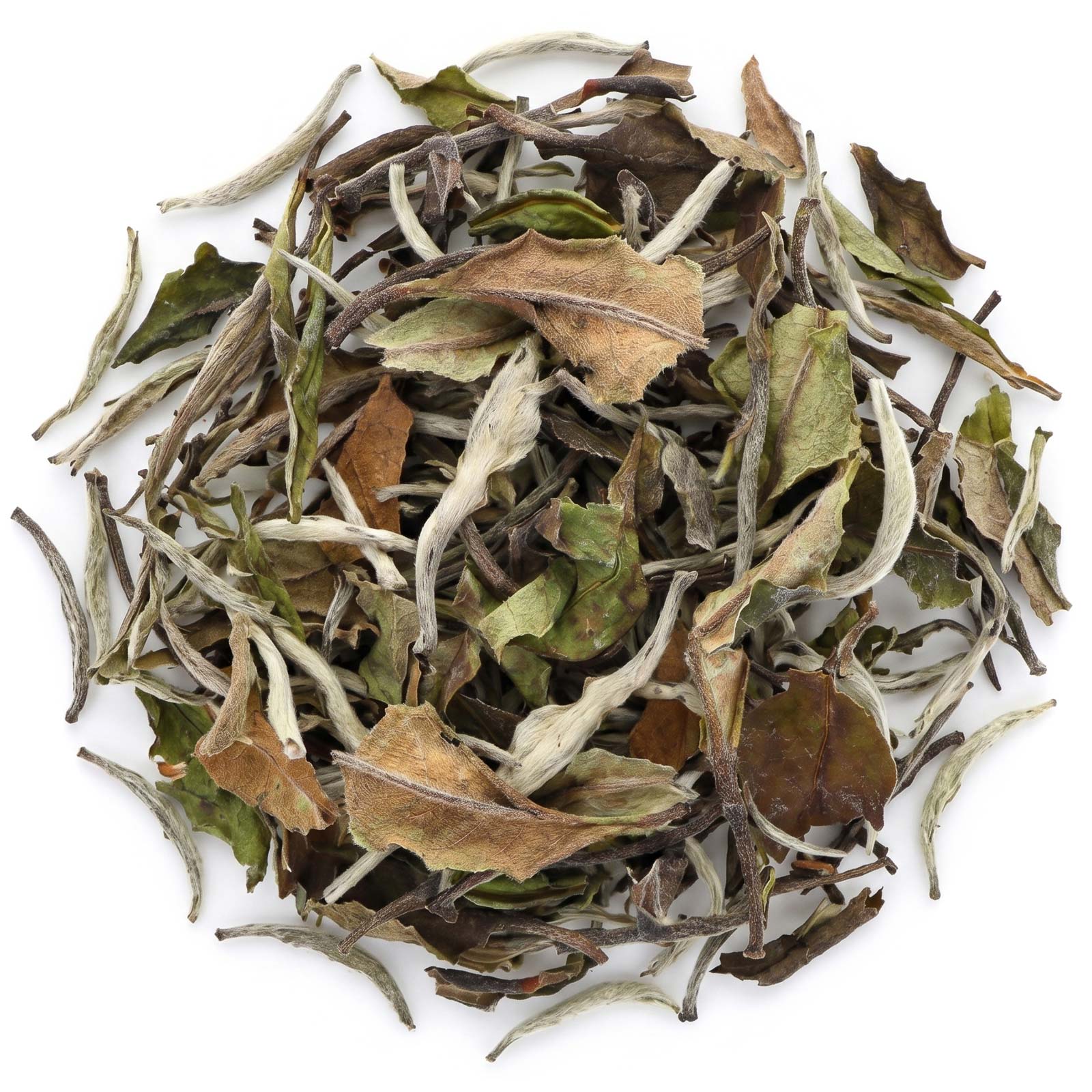 Bio Jingmai Shan Bai Cha Weißer Tee