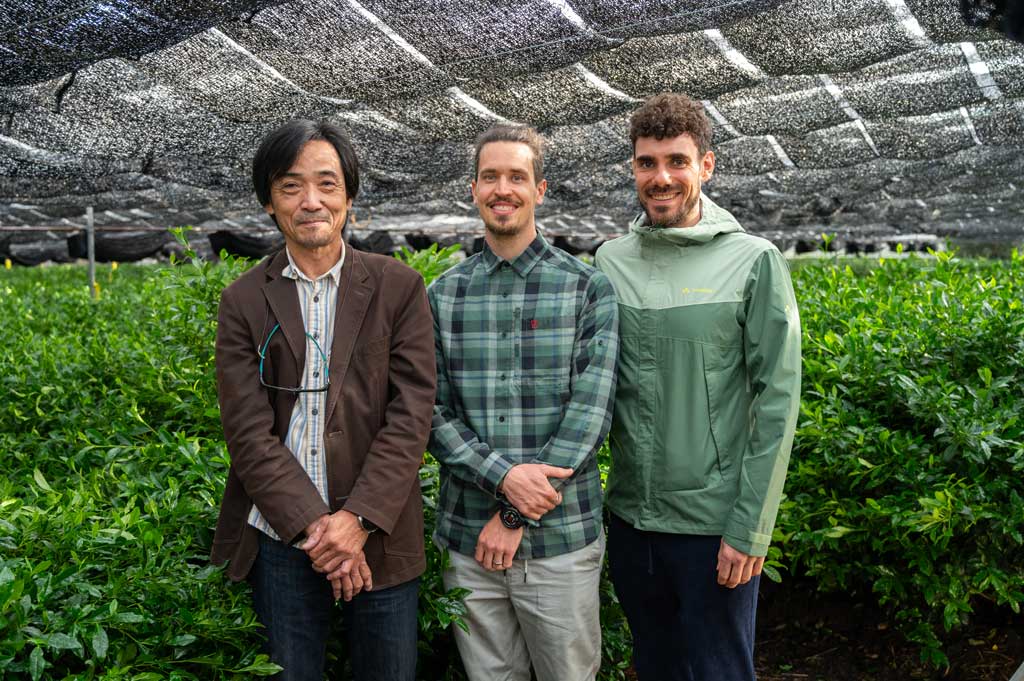 Bio Ryû Uji Matcha von Nakanishi San