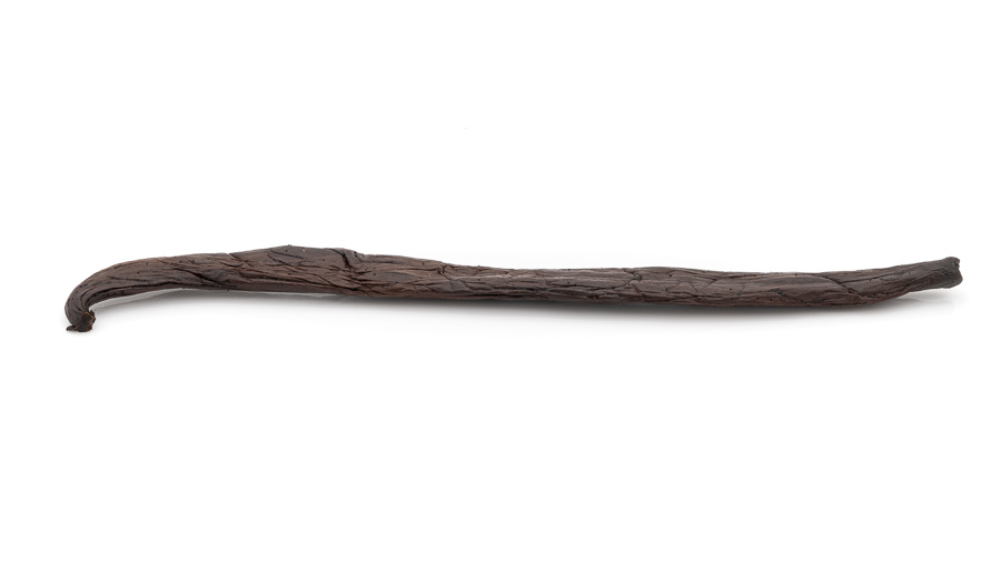 Vanillestange aus Tahiti