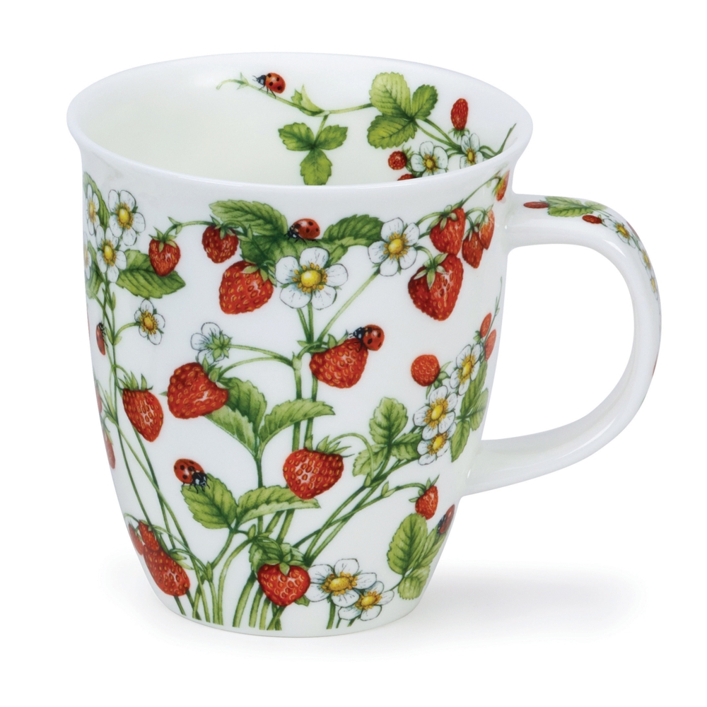 NEVIS WILD FRUITS STRAWBERRY 0,48 l