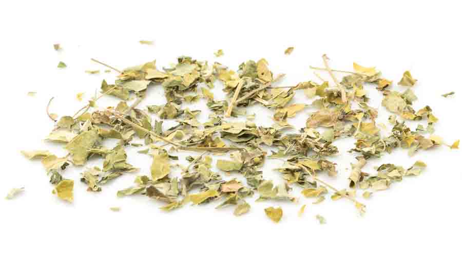 Moringa Kräutertee