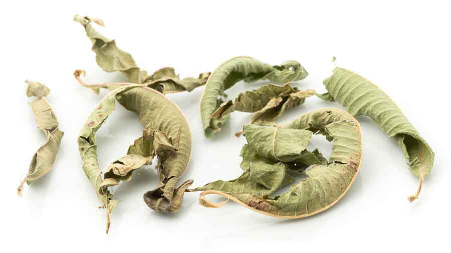 Bio Zitronenverbene Kräutertee