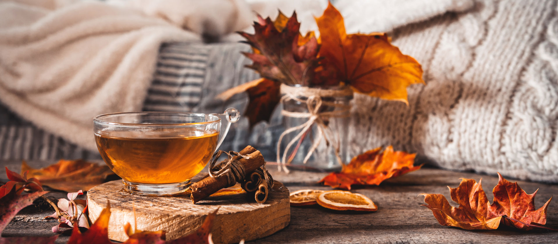 Tee-Neuheiten-Herbst-Banner