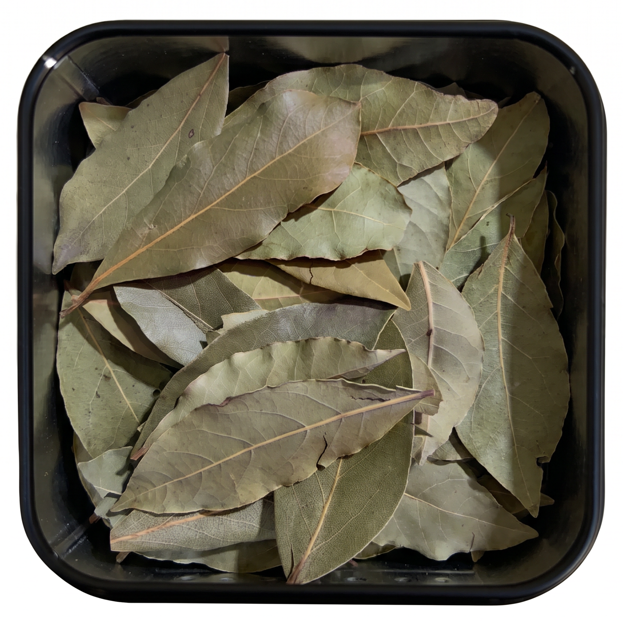 Lorbeerblätter, ganze getrocknete graugrüne bis olivgrüne Blätter mit hellen Mittelrippen, in schwarzer Gewürzdose, würzig-herb.
