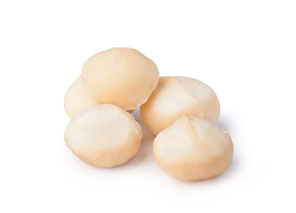 Macadamia Nusskerne - geröstet und gesalzen
