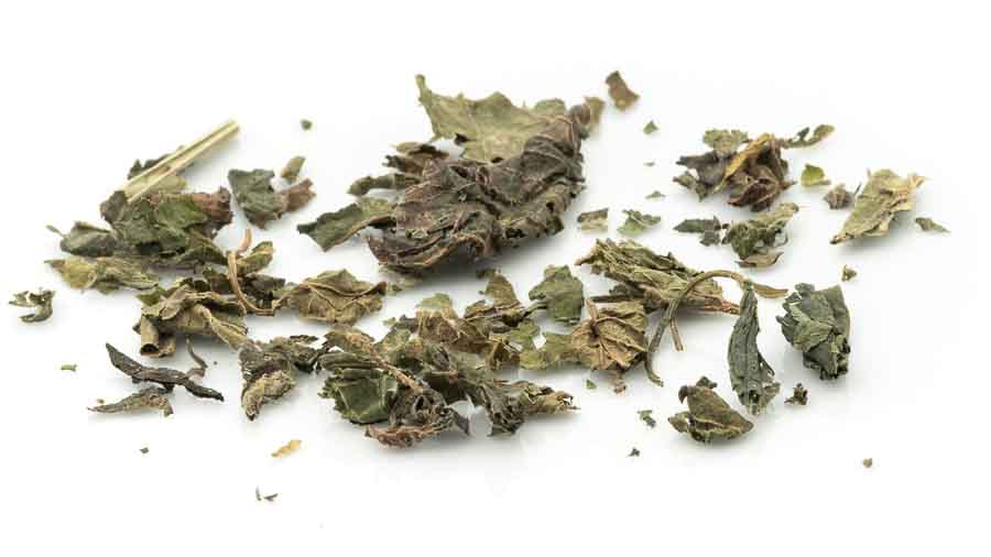Brennessel Kräutertee