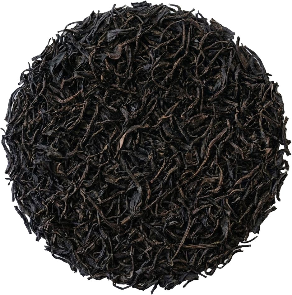 Tong Mu Guan Zheng Shan Xiao Zhong Schwarztee