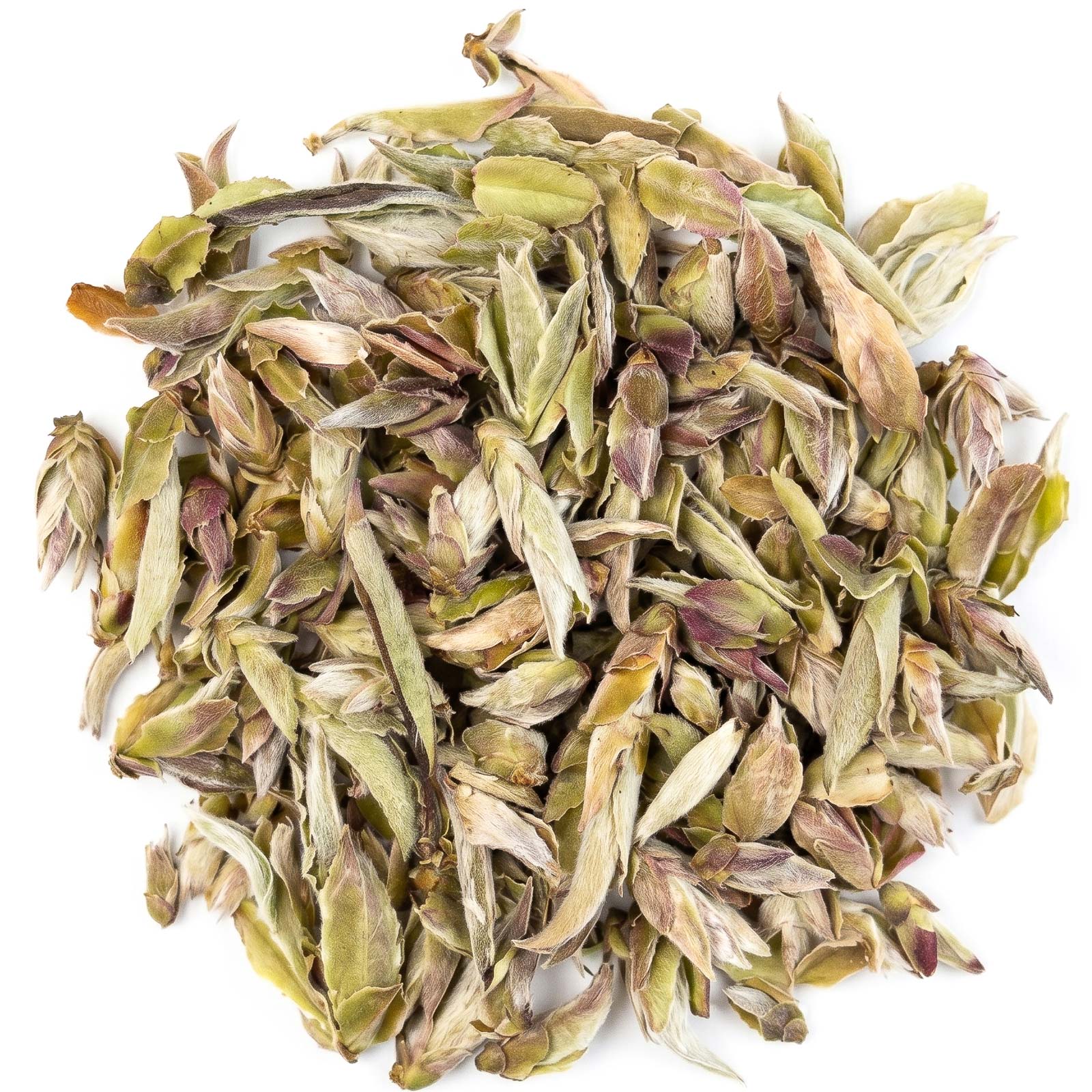 Ming Qian Gushu Wild Buds
