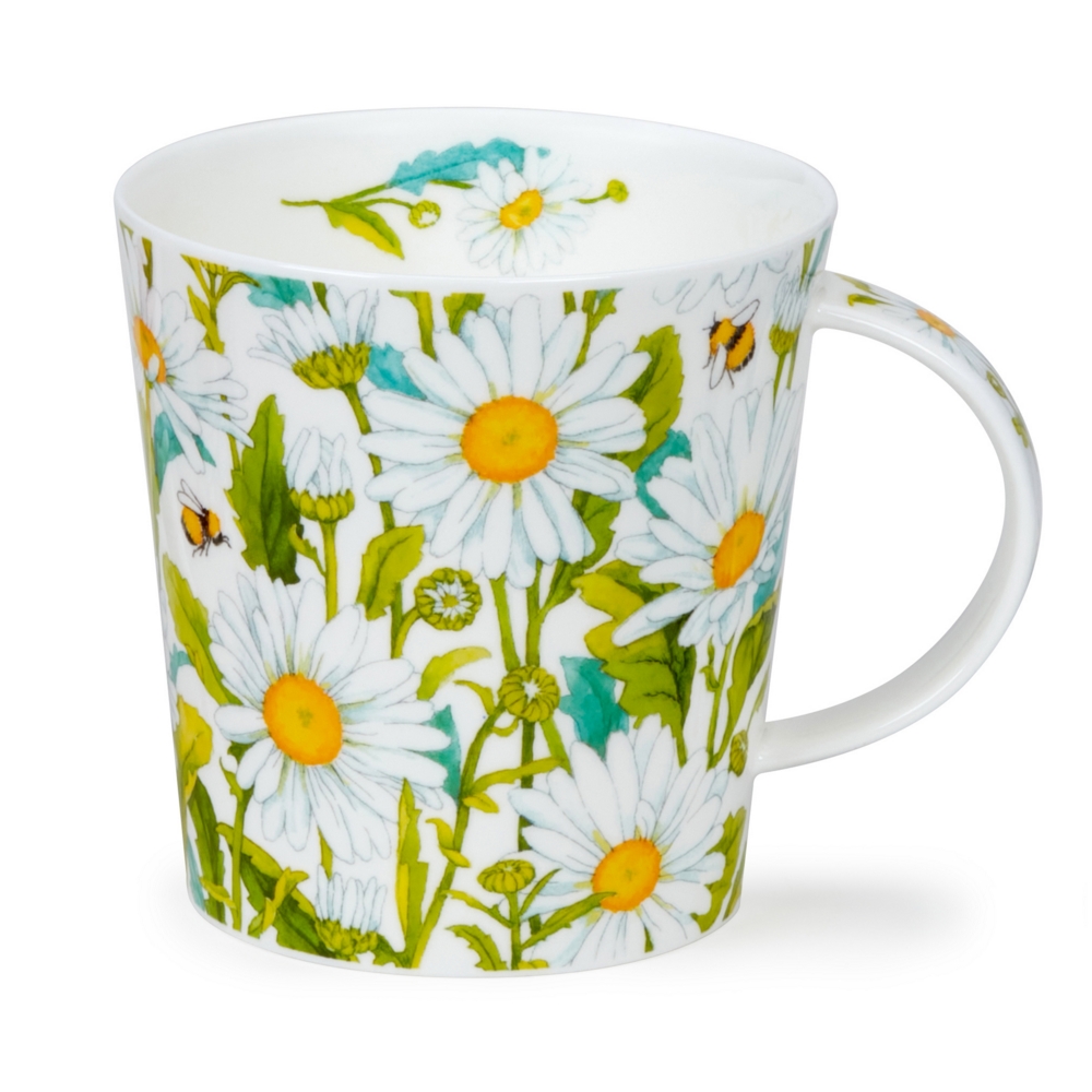 Cairngorm BEAUTIFUL BLOOMS DAISIES 0,48L - Dunoon