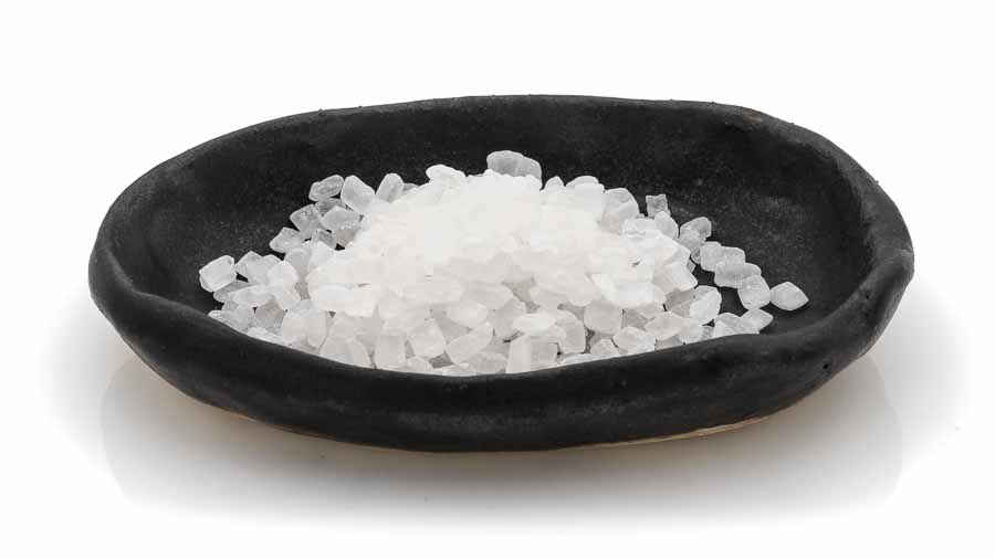 kluntinchen Kluntinchen Kandis weiß