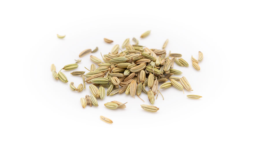 Fenchel grün Kräutertee